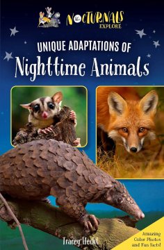 Unique Adaptations of Nighttime Animals 