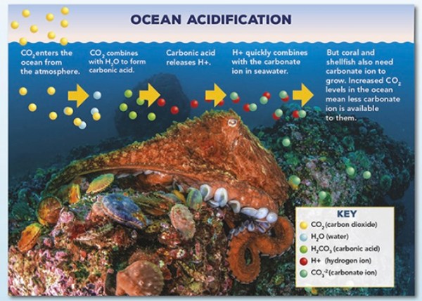 Ocean acidification graphic