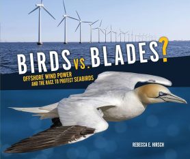 Birds vs. Blades?: Offshore Wind Power and the Race to Protect Seabirds