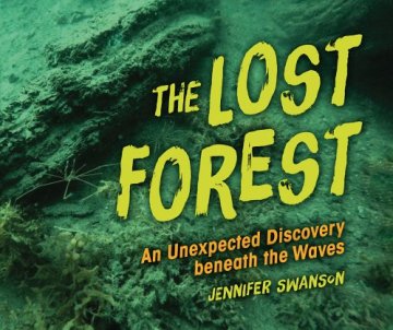 The Lost Forest