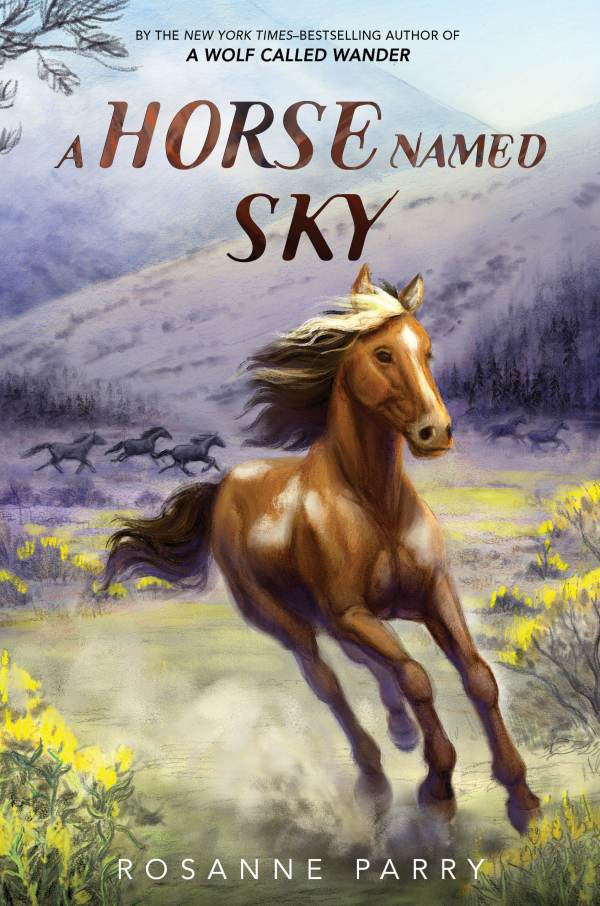 book cover A Horse Named Sky