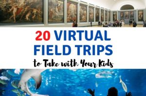 Virtual Field Trips