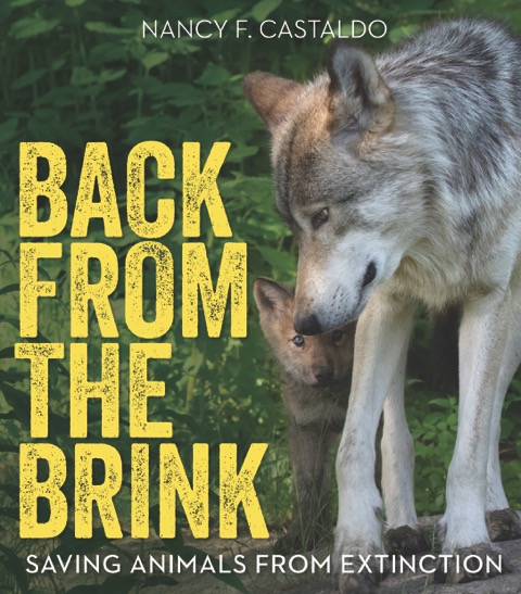 STEM Tuesday All About Conservation - Interview with Author Nancy Castaldo