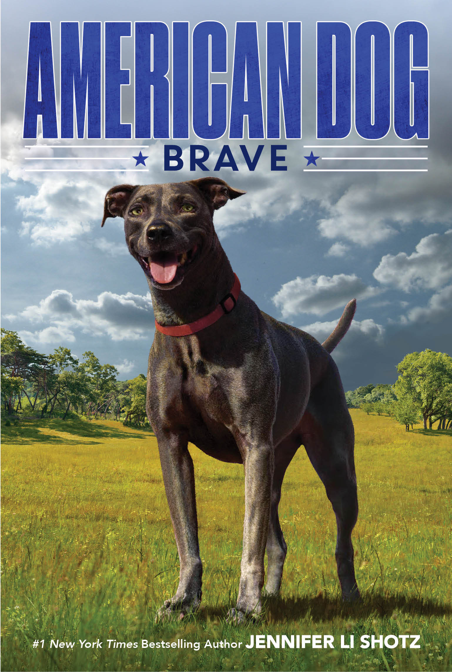 American Dog: Brave: An Interview with Author Jennifer Li Shotz