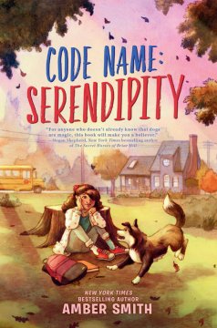 Code Name: Serendipity Cover