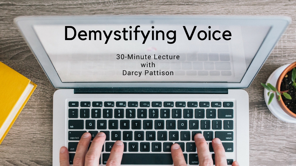 Interview & DEMYSTIFYING VOICE Course Giveaway with Darcy Pattison