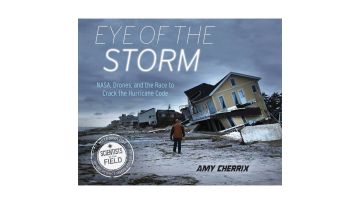 In the eye of the storm book cover