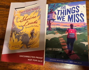 book covers for Sheine Lende and The Things We Miss