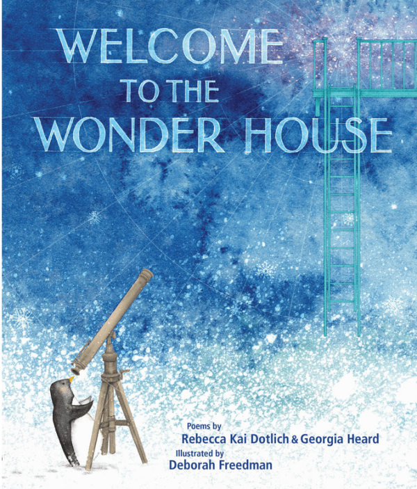 Welcome to the Wonder House book