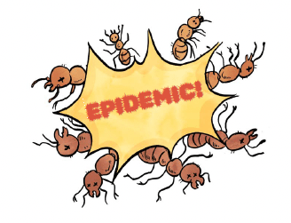 ants around the word epidemic